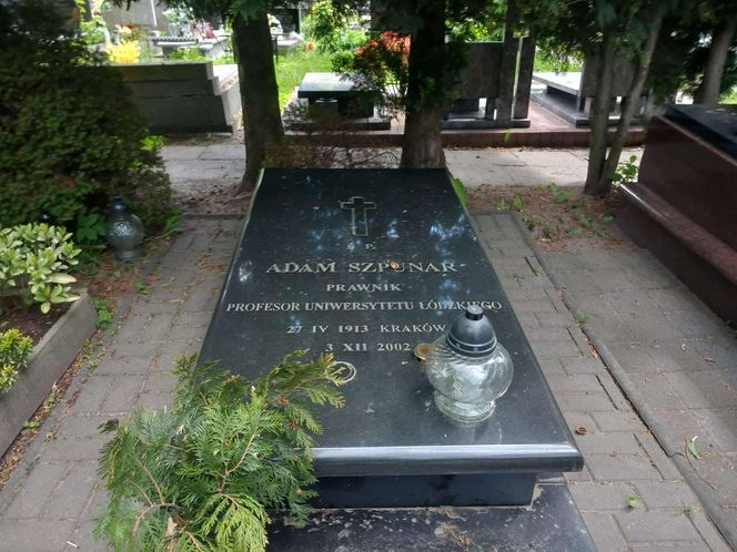 Aleja Zasłużonych Doły