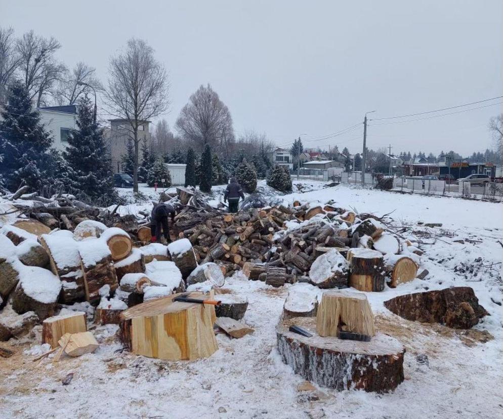 Darmowe drewno na opał do wzięcia na Podlasiu! Wsparcie trafi do tych mieszkańców województwa