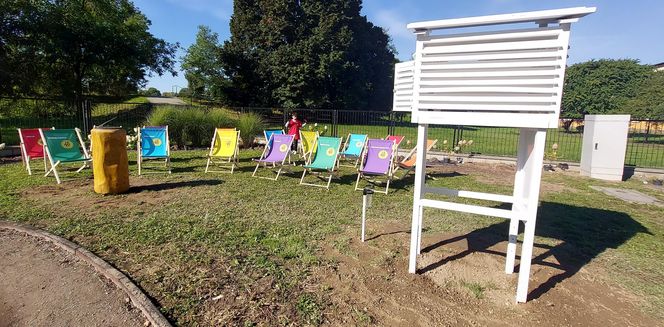 Ogród sensoryczno- naukowy przy SP nr 10 w Zamościu