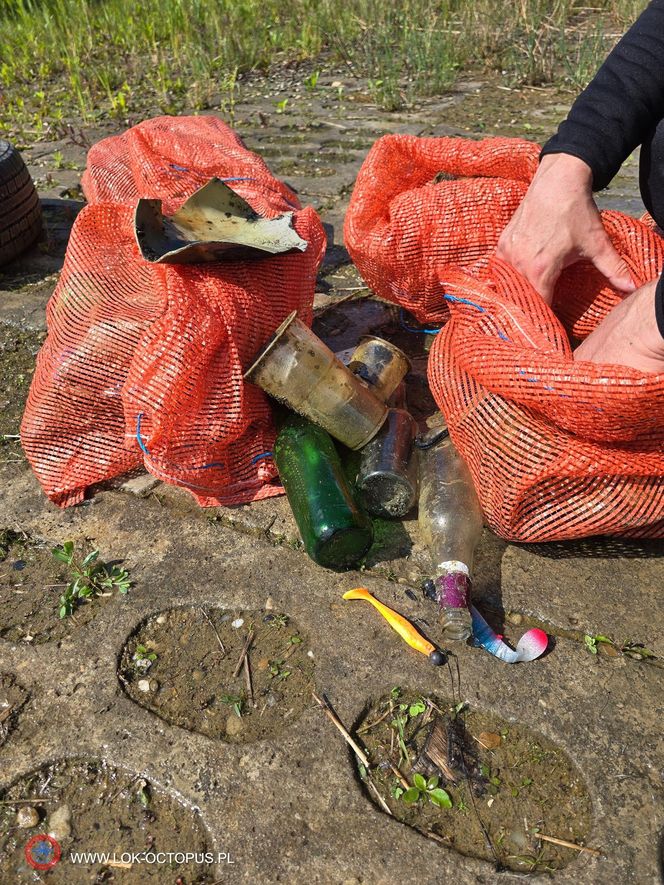 jezioro Tarnobrzeskie Niezwykła akcja płetwonurków