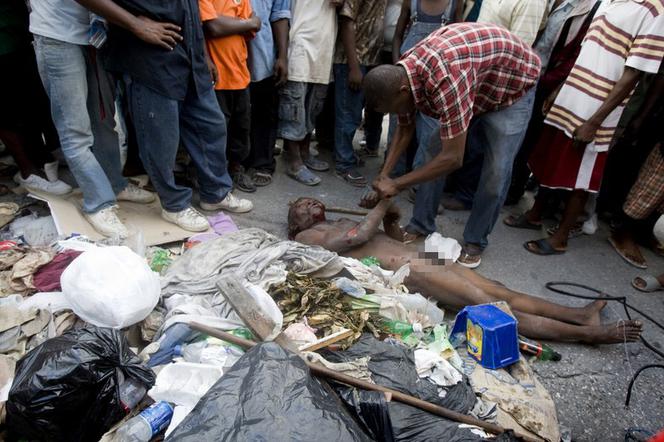 Haiti: Szabrownik ukarany