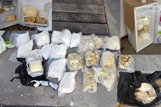 Dąbrowa Górnicza: Duża akcja policji. Blisko 60 kg narkotyków nie trafiło na rynek