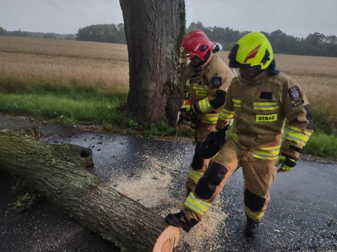  Pogoda trochę „namieszała”. Strażacy powiatu braniewskiego znowu w akcji