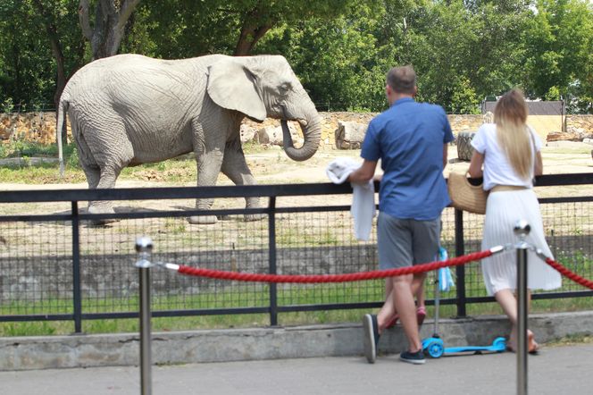 Warszawskie zoo