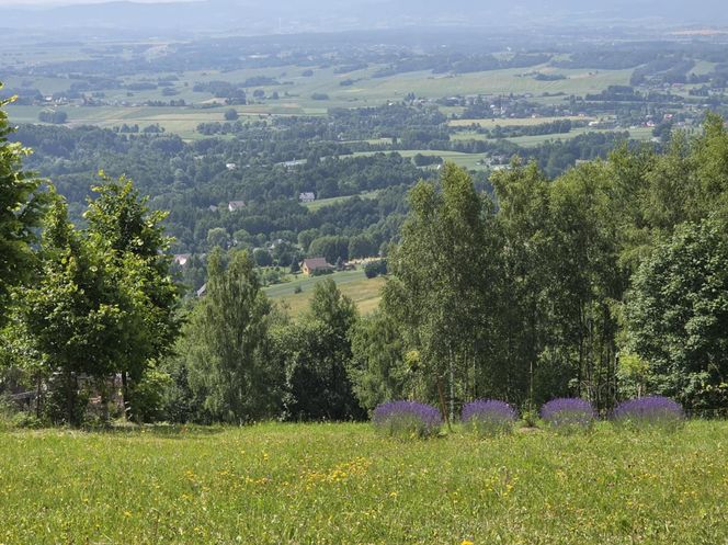 Wieża widokowa w Korczynie