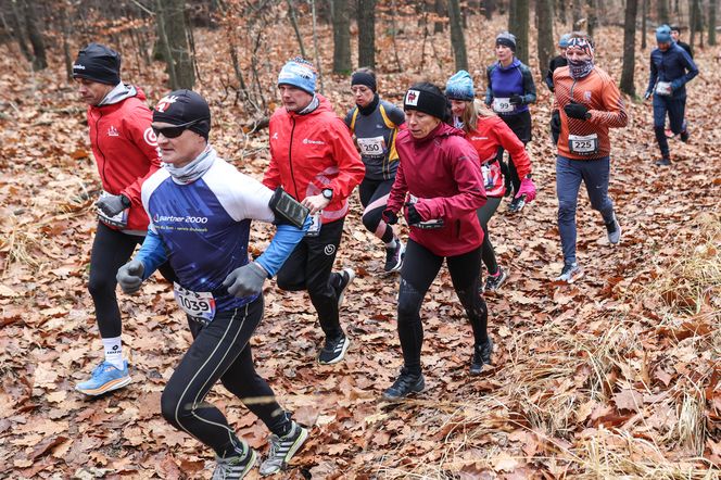 Katowicki City Trail jak zwykle ze znakomitymi biegaczami i biegaczkami. Zobacz zdjęcia ze sportowej imprezy