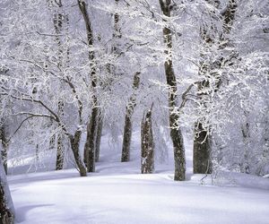 Sypnie śniegiem już w pierwszych dniach miesiąca. Widać też dwucyfrowy mróz! 