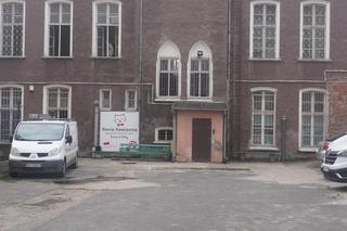 Kocia kawiarnia w Olsztynie się zamyka. Jaki los czeka koty? [ZDJĘCIA]