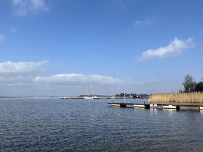 Jezioro Dąbie
