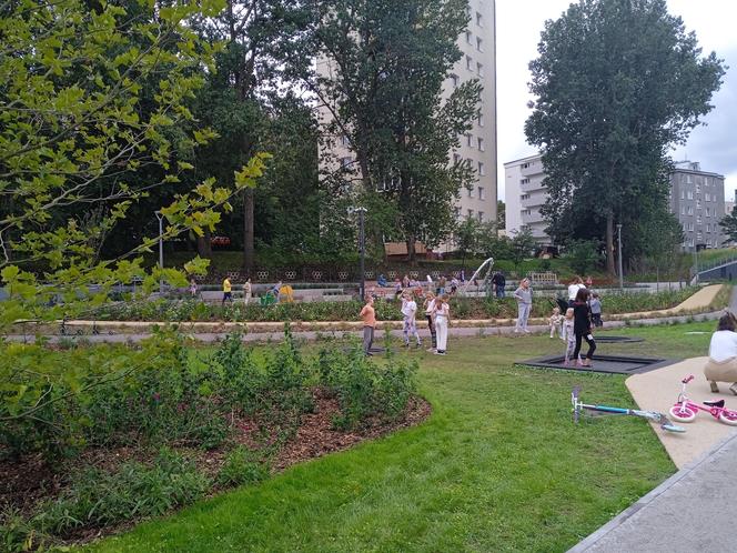 Park centralny w Gdyni. Atrakcje dla dzieci i dorosłych