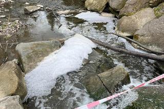 Skażenie potoku Skomielnianka w Małopolsce