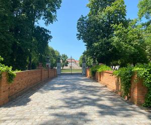 Pałac w Rogalinie zachwyca turystów. Znajduje się 20 kilometrów od Poznania 