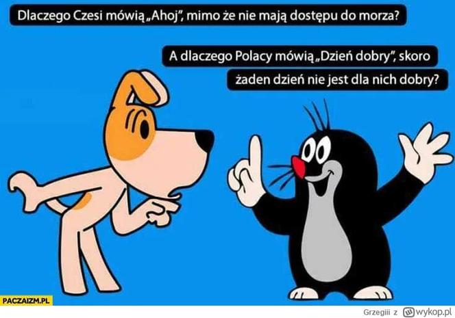 MEMY Mecz Polska - Czechy 2023 