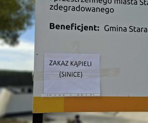 Sinice nad Lubianką
