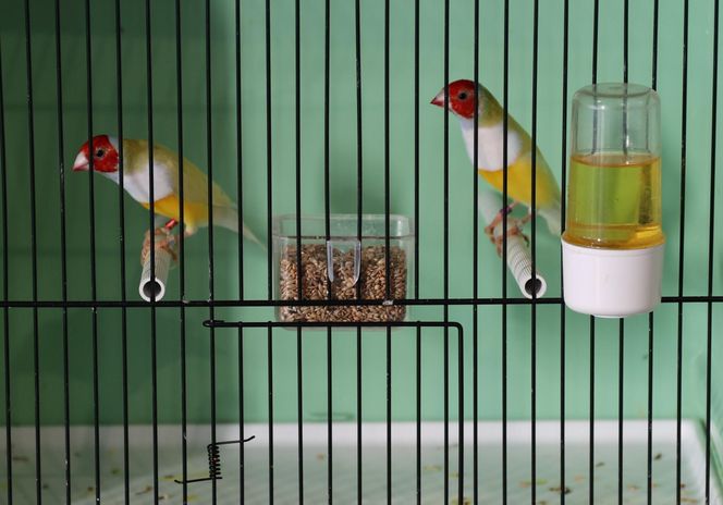 ZooPark ponownie przyciągnął do Targów Lublin tłumy miłośników zwierząt