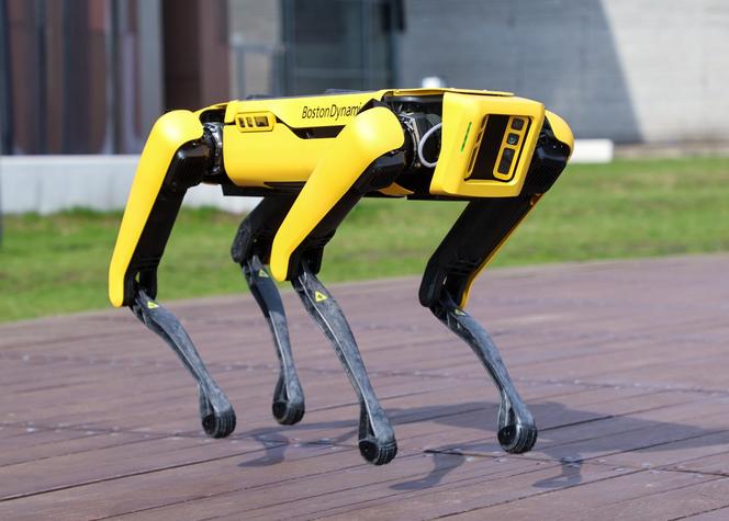 Robotyczny pies z Centrum Nauki Kopernik szuka imienia! Możecie wymyślić je wy!