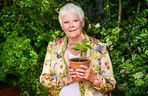 Judi Dench
