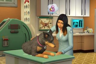 The Sims 4. Świetny dodatek dostępny zupełnie za DARMO! Wielka grata dla fianów zwierzaków