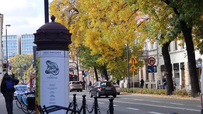 Nowa pora roku już jest w mieście. Lublin przybrał już jesienne barwy. Zobaczcie!