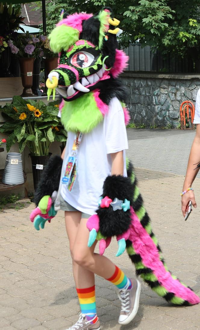 Marsz futrzaków w Lublinie. Tak wyglądał I Lubelski Fursuitwalk