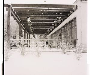 Zielona Góra w zimowej aurze. Czesław Łuniewicz uchwycił zimę kilkadziesiąt lat temu na fotografiach