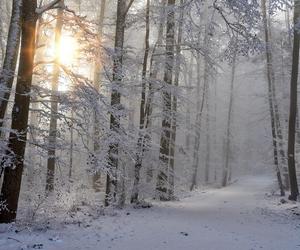 Zmiana pogody! Ociepli się, ale będzie wietrznie [Prognoza IMGW na 28.01.2024]