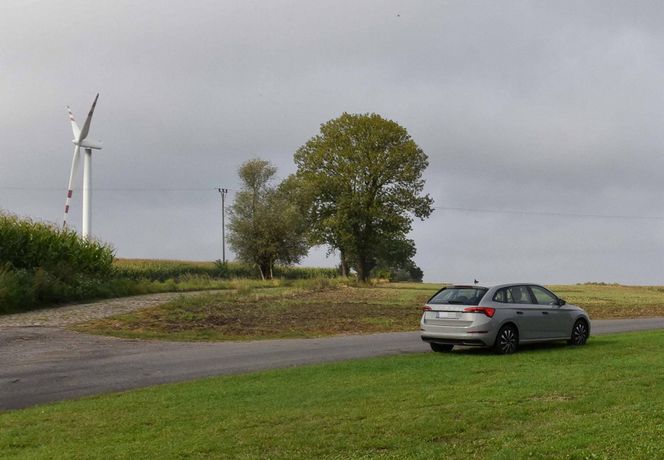 O co ta zadyma?! Nam wiatraki nie przeszkadzają!