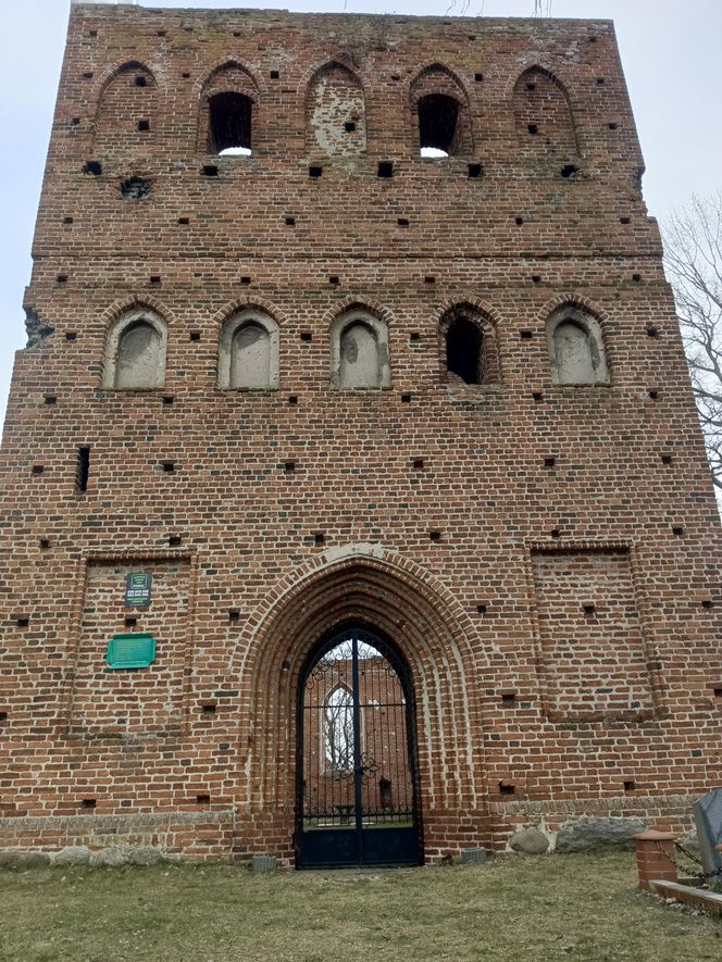 Ruiny kościoła w Steblewie