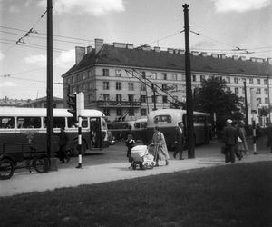 Warszawskie trolejbusy