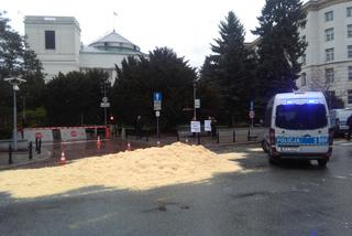 Trociny rozsypane przed wjazdem do Sejmu. Duża akcja ekologów