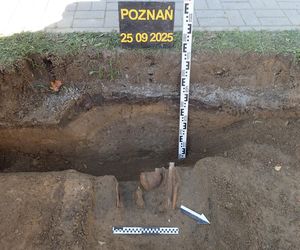 Ludzkie szczątki przy wydziale UAM