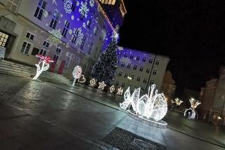 Opole. Świąteczny klimat na RYNKU! Zobacz, jak wygląda centrum miasta na Święta! [ZDJĘCIA]