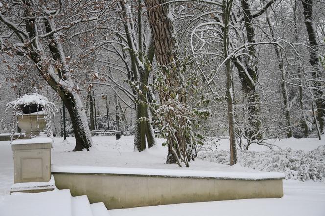 Pierwszy śnieg w Ogrodzie Saskim w Lublinie w tym sezonie!