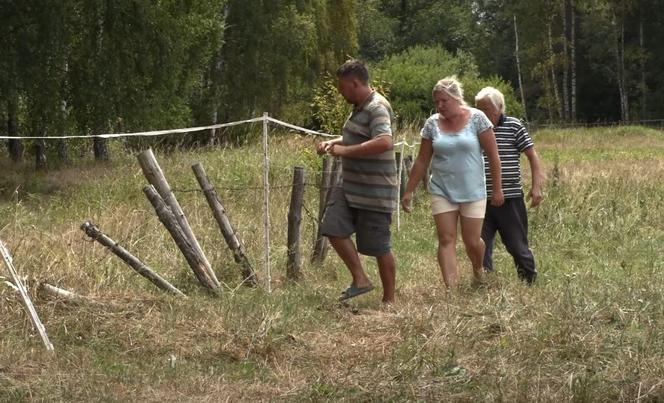 Rolnicy. Podlasie. Andrzej szuka koni, które uciekły z pastwiska