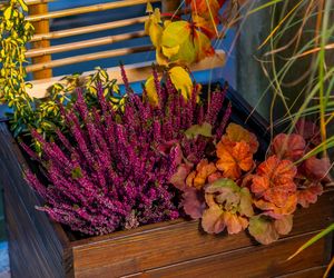 Jesienna metamorfoza balkonu