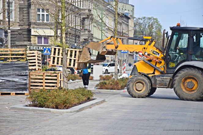 Nowe nasadzenia na alei Wojska Polskiego