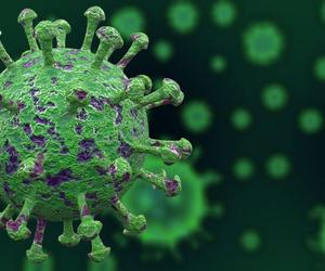 Wszystkie warianty wirusa SARS-CoV2 mogą zakażać mózg! Wirus wciąż się zmienia