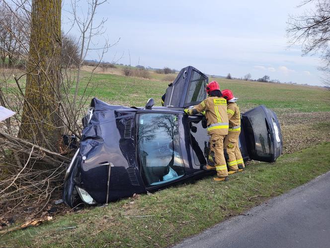 Auto wypadło z drogi i zatrzymało się na drzewie! O krok od tragedii pod Mogilnem [ZDJĘCIA]