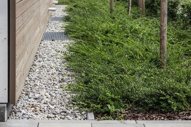 Nawierzchnia żwirowa