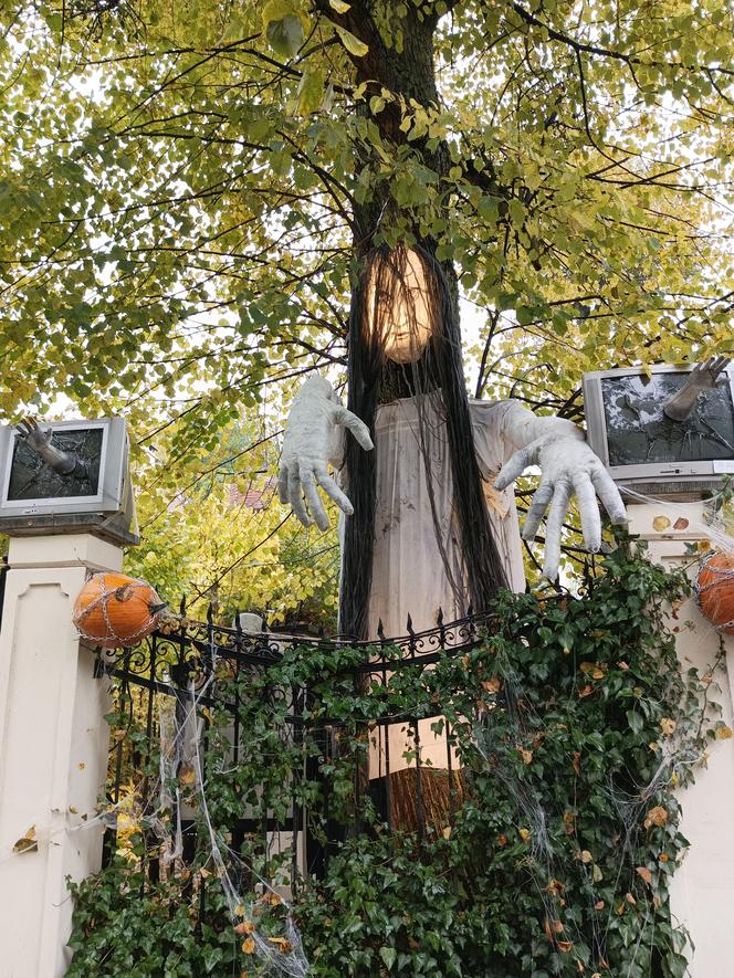 Willa na Jaśkowej Dolinie znów ozdobiona. Tym razem przechodniów zaskakują halloweenowe straszydła!