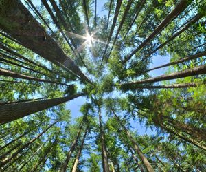 Artystka troskę o środowisko i planetę stawia na pierwszym miejscu