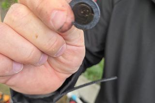 Sprzątanie Jeziora Dominickiego 