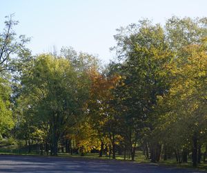 Park im. św. Jana Pawła II w jesiennych barwach