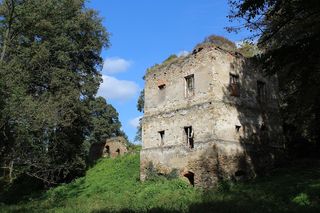 Ruiny zamku w Dąbrówce Starzeńskiej