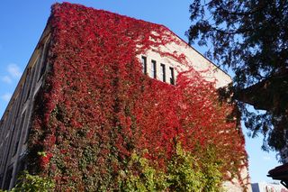 Zakłady Nowika z XIX wieku. Kiedyś była tu ogromna fabryka Sukna w Białymstoku