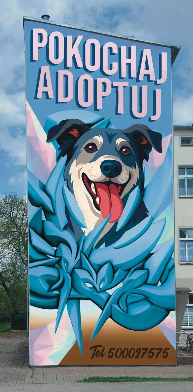 Pokochaj - adoptuj