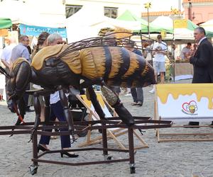 Miasto miodem płynące! Tak świętowali pszczelarze w Lublinie! Zobacz 