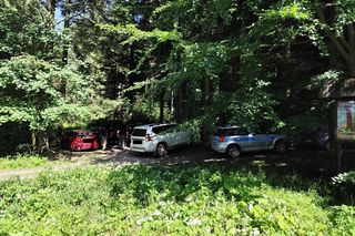 Znicze i kwiaty w miejscu, gdzie znaleziono Tadusza Dudę! Szokujący widok 