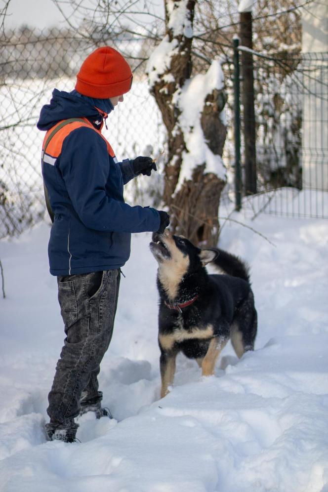 Na swoim blogu Malwina często pokazuje pieski, które czekają na adopcję