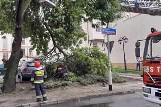Pogodowy armagedon w Rzeszowie: Burza połamała drzewa, zalała ulice [GALERIA]